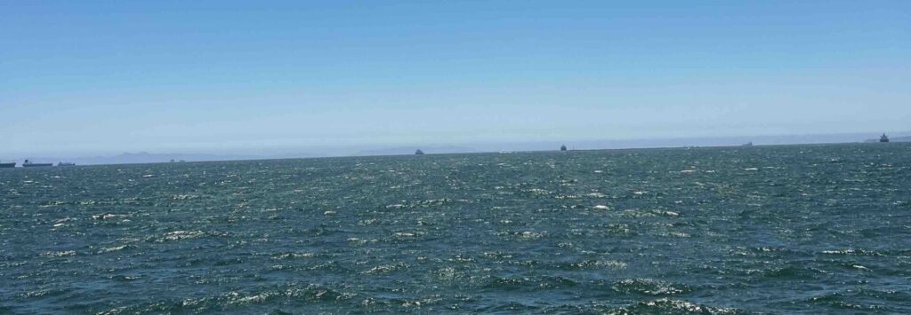 Seal Beach 1 Scaled E1754509486295 1024x355
